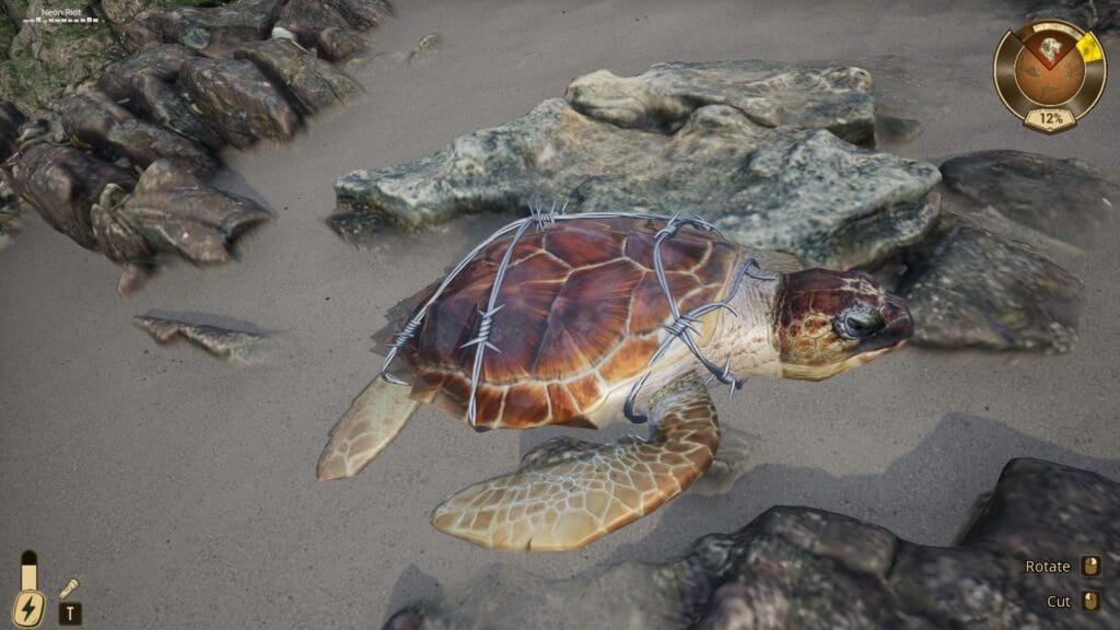 Restore Your Island: Turtle